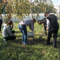 Проведение субботника высадка саженцев